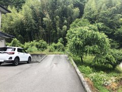 長野県飯田市上郷飯沼売地