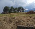 長野県上伊那郡飯島町七久保売地