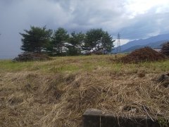 長野県上伊那郡飯島町七久保売地