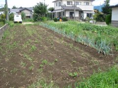 長野県駒ヶ根市南田売地