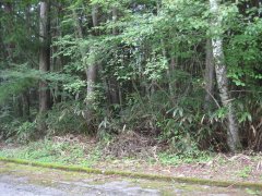 長野県下伊那郡阿智村浪合売地
