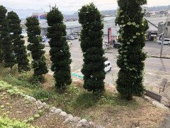 長野県飯田市羽場坂町売地