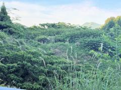 三重県熊野市波田須町売地