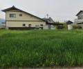 長野県駒ヶ根市赤穂売地
