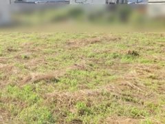 長野県駒ヶ根市下平売地