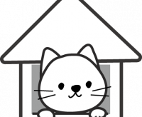 伊地知 朝治 (株)アンセムジャパンリミテッド