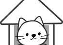 伊地知 朝治 (株)アンセムジャパンリミテッド