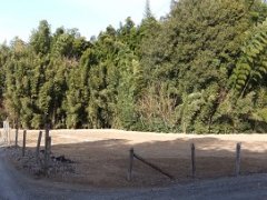 埼玉県熊谷市押切売地