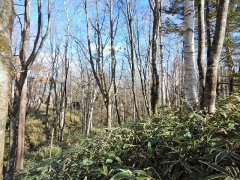 長野県南佐久郡南牧村海ノ口売地
