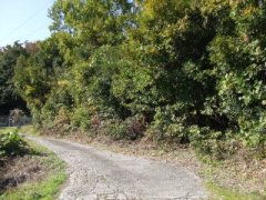山梨県韮崎市旭町上條北割売地