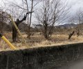 長野県飯田市鼎上山売地