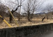 長野県飯田市鼎上山売地