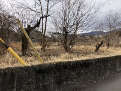 長野県飯田市鼎上山売地