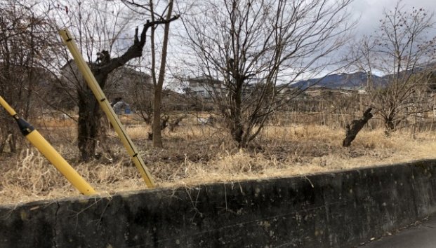 長野県飯田市鼎上山売地