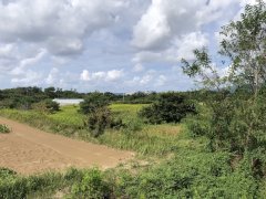 新潟県佐渡市八幡売地