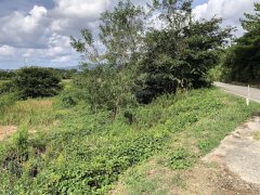 新潟県佐渡市八幡売地