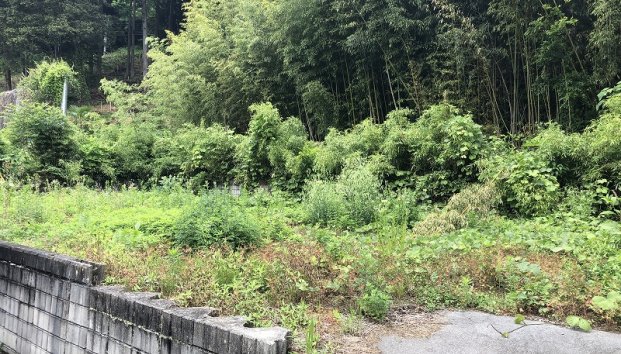 長野県飯田市上郷飯沼売地