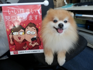 (有)エヌ・エスホーム