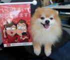 (有)エヌ・エスホーム
