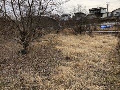 長野県飯田市鼎上山売地