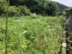 長野県飯田市上郷飯沼売地