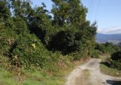 山梨県韮崎市旭町上條北割売地
