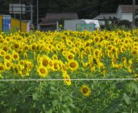 久保 隆 (有)中央建築