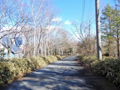 長野県南佐久郡南牧村海ノ口売地