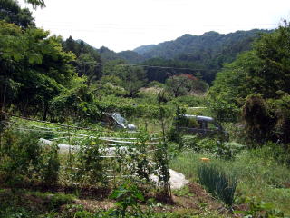 山梨県笛吹市一宮町石売地