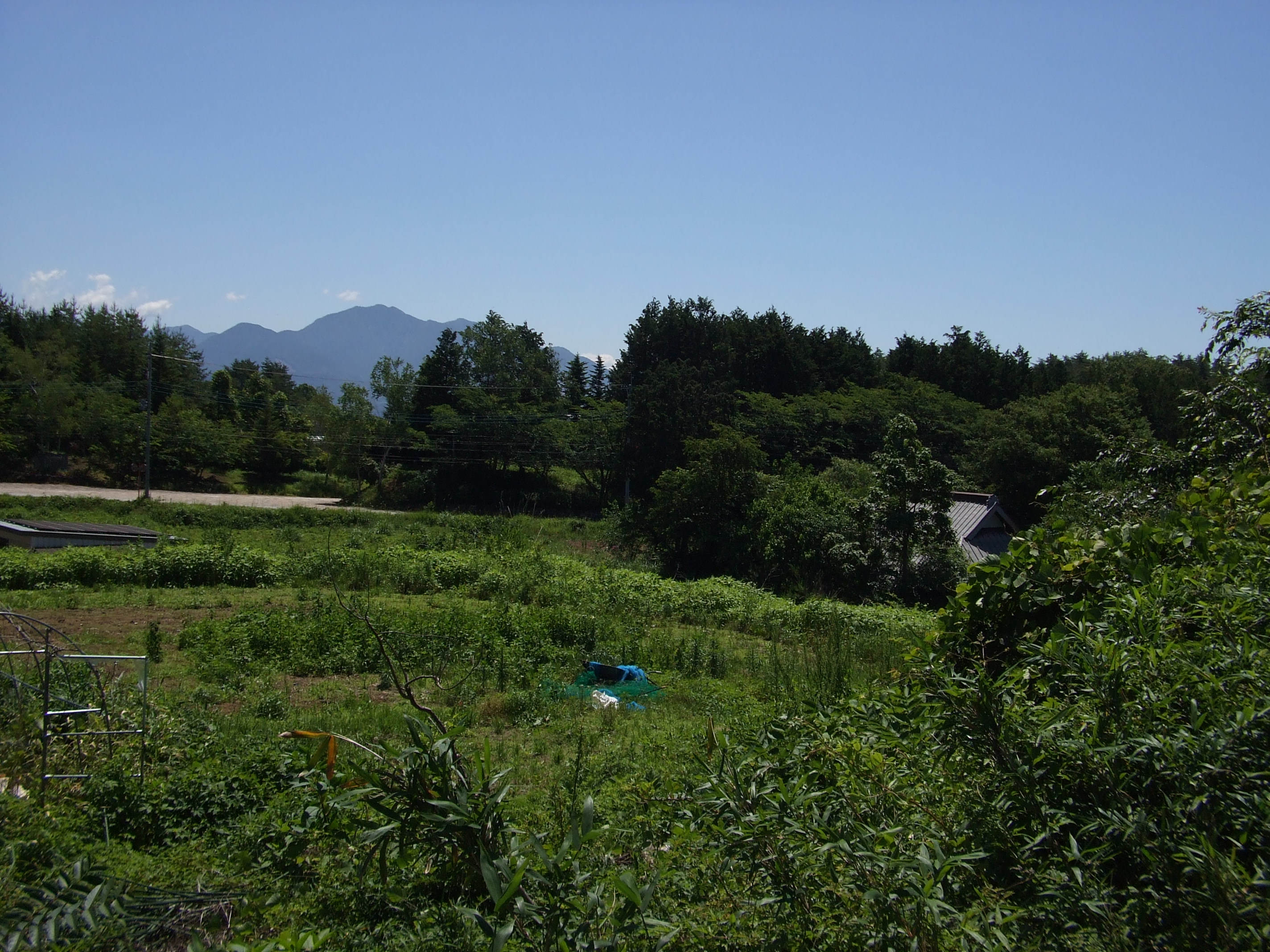 山梨県北杜市長坂町中丸売地