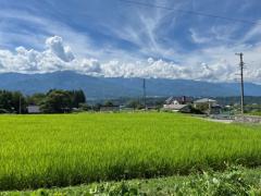 長野県上伊那郡中川村大草売戸建住宅