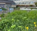 長野県駒ヶ根市赤穂売地