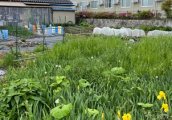 長野県駒ヶ根市赤穂売地
