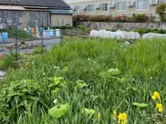 長野県駒ヶ根市赤穂売地