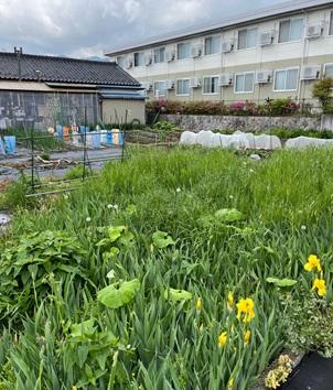 長野県駒ヶ根市赤穂売地