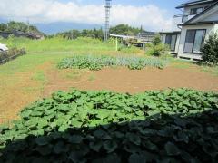 長野県駒ヶ根市中沢売地