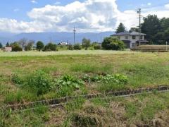長野県駒ヶ根市赤穂売地