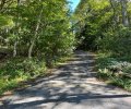 長野県下伊那郡阿智村浪合売地