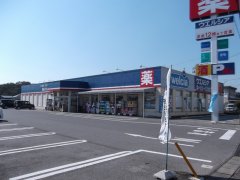 ハッピー7