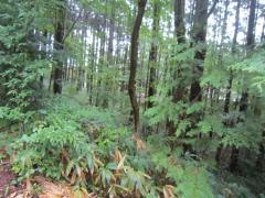 長野県駒ヶ根市赤穂借地権譲渡