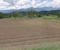 長野県上伊那郡中川村大草売地