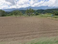 長野県上伊那郡中川村大草売地