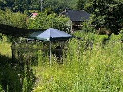 長野県伊那市高遠町長藤売戸建住宅