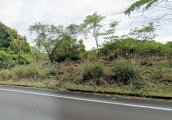 三重県熊野市波田須町売地