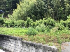長野県飯田市上郷飯沼売地