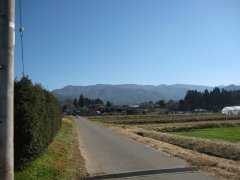 長野県駒ヶ根市中沢売地