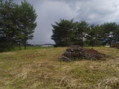 長野県上伊那郡飯島町七久保売地