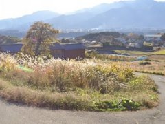 長野県駒ヶ根市東伊那売地