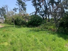 静岡県浜松市中央区舞阪町舞阪売地