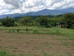 長野県上伊那郡中川村大草売地